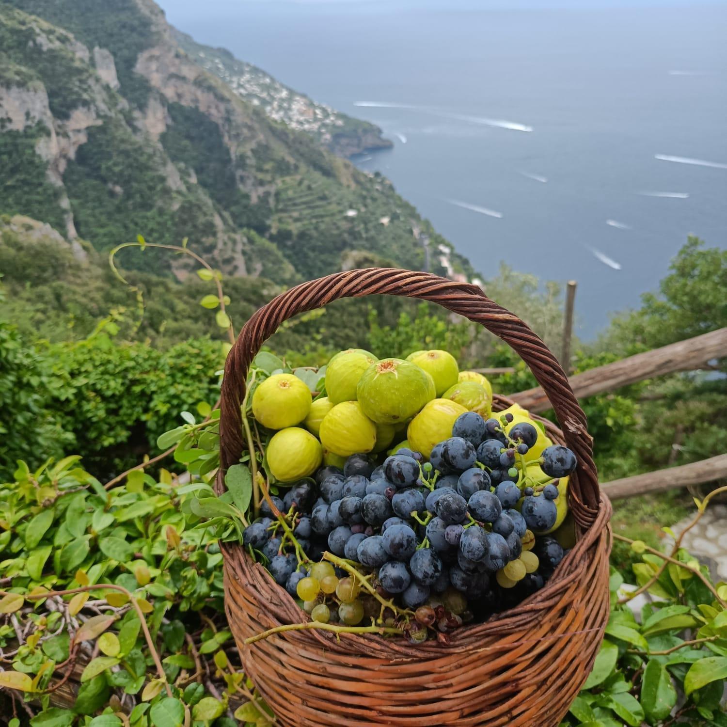Villa Antica Macina Positano Eksteriør bilde