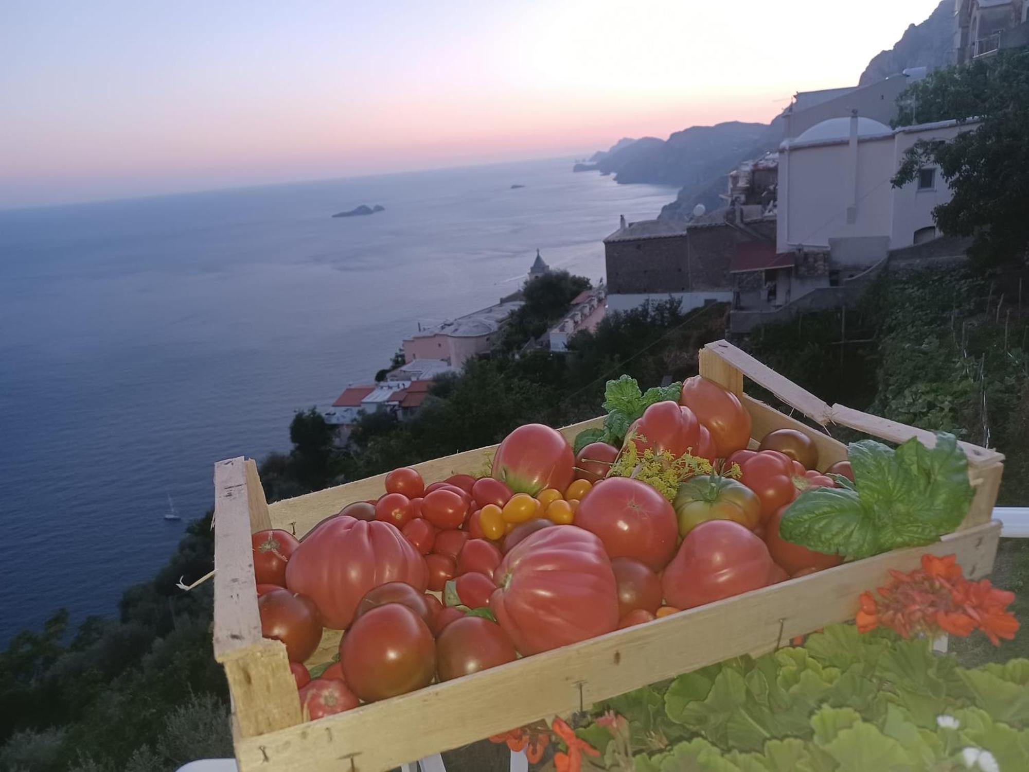 Villa Antica Macina Positano Eksteriør bilde