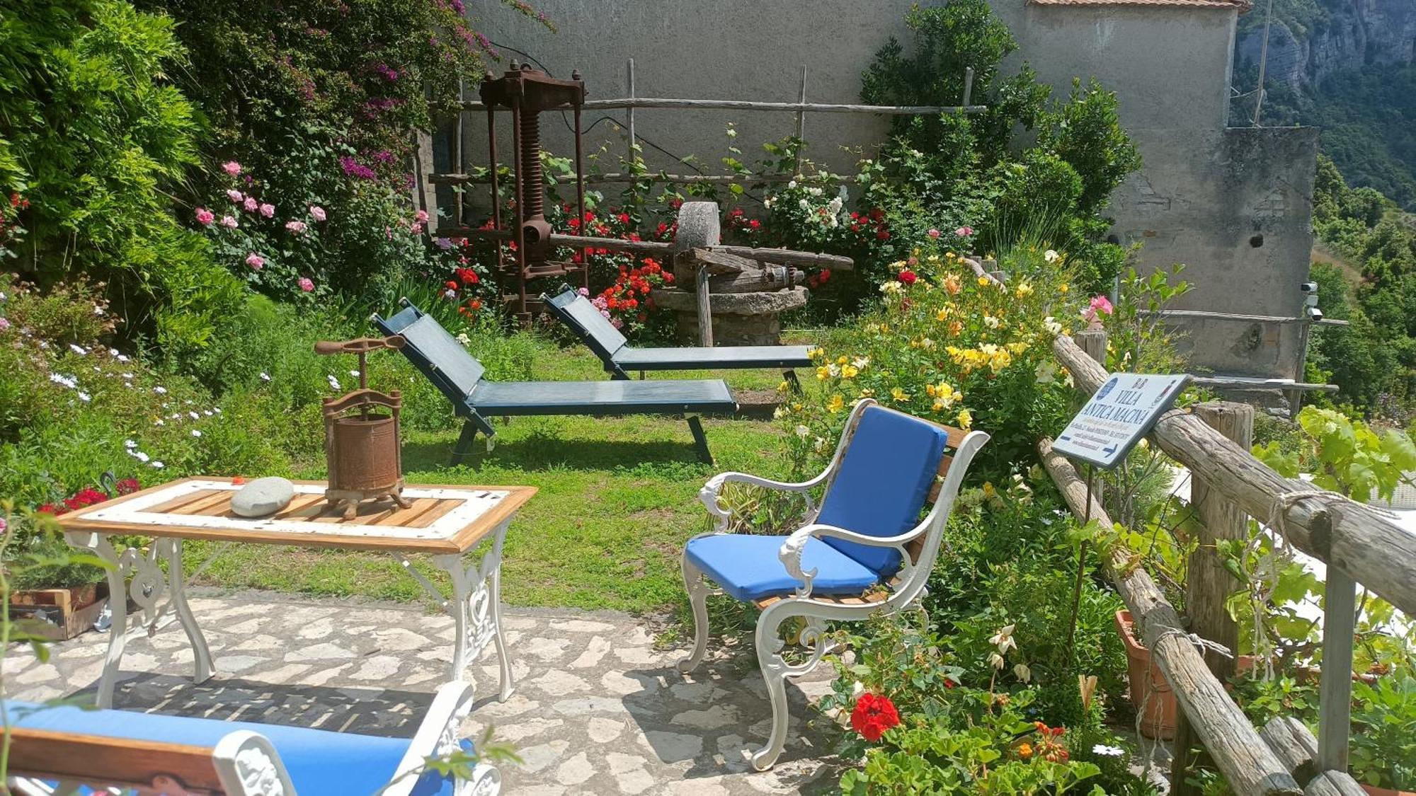 Villa Antica Macina Positano Eksteriør bilde